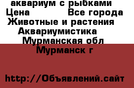 аквариум с рыбками › Цена ­ 1 000 - Все города Животные и растения » Аквариумистика   . Мурманская обл.,Мурманск г.